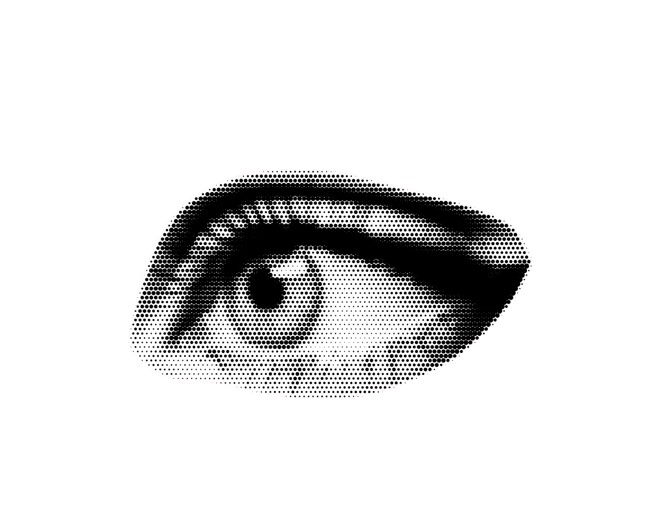 Service/Feature Image